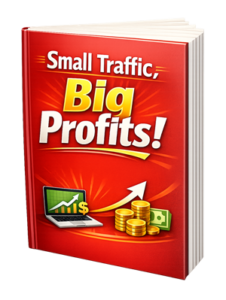 Small Traffic Big Profits